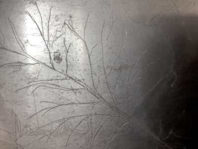 Herbst, Detail II