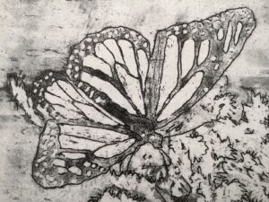 Schmetterling / Detail I, Druck