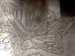 Schmetterling / Detail I