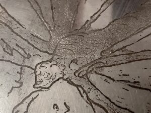 Schmetterling / Detail II, Druckstock