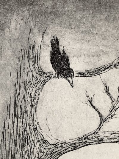 der Apfel ... / Detail I