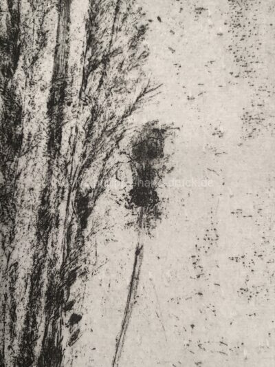 Sommergräser / Detail Druck II