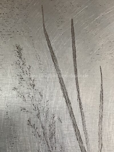 Sommergräser / Detail Druckplatte I