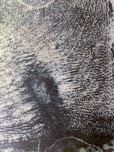 blaue Stunde / Detail II, Druck